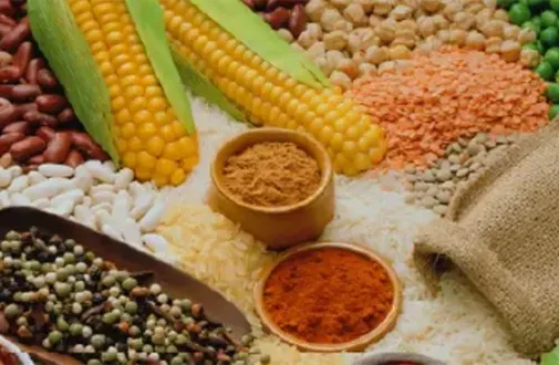 无油空压机致力于食品及饮料行业洁净用气